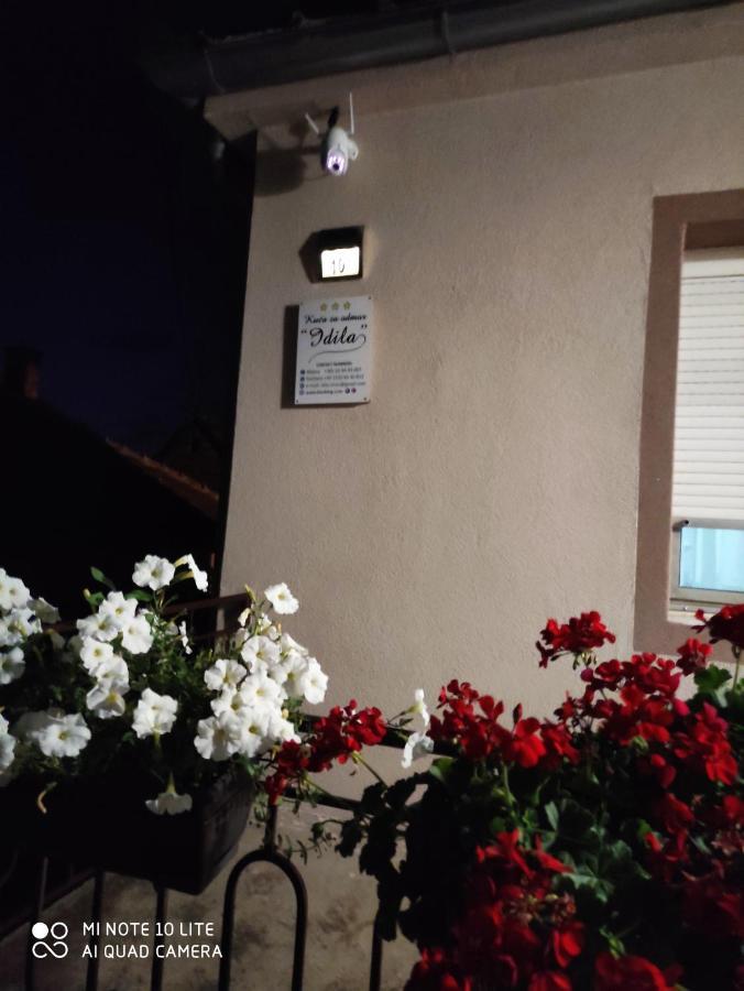 Kuca Vila Idila Vrsac Zewnętrze zdjęcie